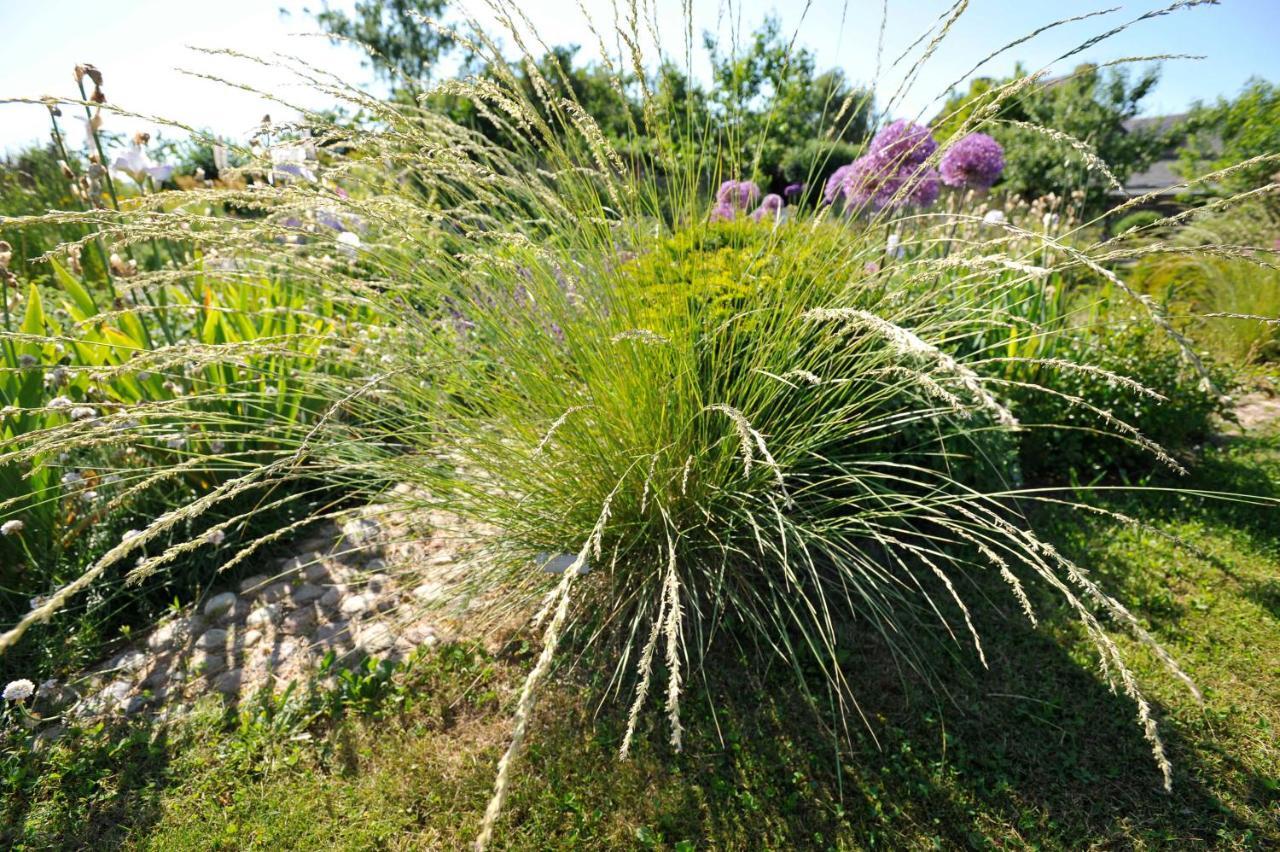 Ferienwohnungen Im Fischerdorf Und Neu Reddevitz Εξωτερικό φωτογραφία